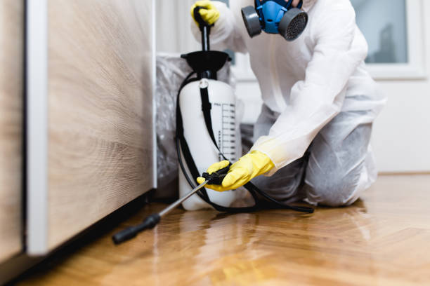 Best Pest Control for Businesses  in Brentwood, PA