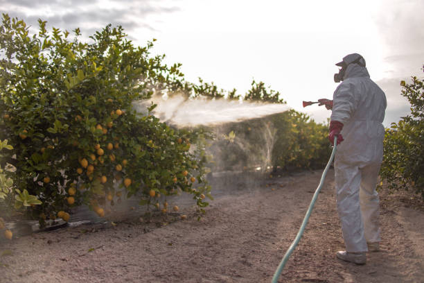 Best Mosquito Control Services  in Brentwood, PA