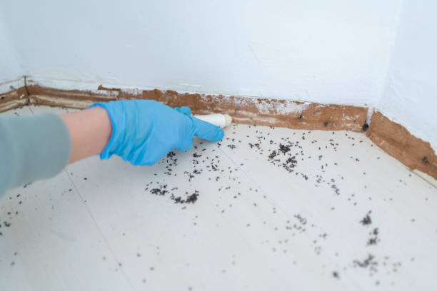 Best Exterminator Services  in Brentwood, PA