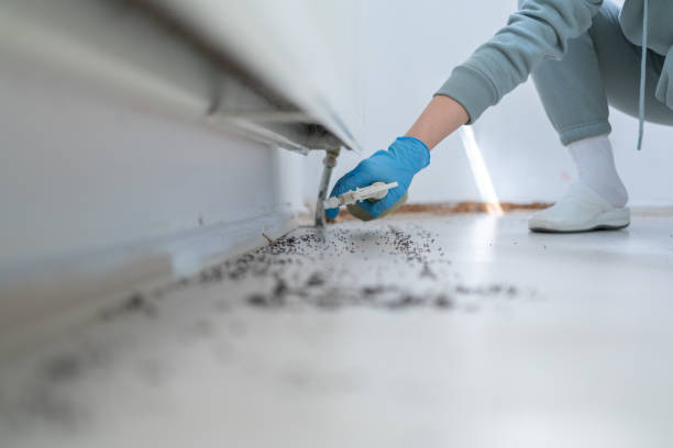 Best Emergency Pest Control  in Brentwood, PA